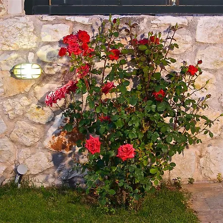 Superb With Private Pool Peaceful Location Vila *